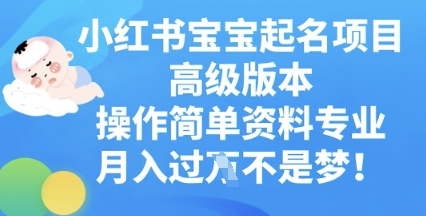 小红书宝宝起名项目高级版本，操作简单，资料专业，月入过W-启原资源站