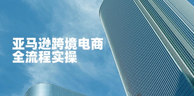 （14252期）亚马逊跨境电商全流程实操，教你从零开始，掌握店铺运营与广告技巧-启原资源站
