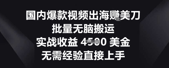 国内爆款视频出海挣美刀，批量无脑搬运，实战收益4.5k，无需经验直接上手-启原资源站