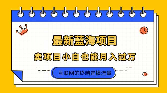 （14289期）2025年最新蓝海项目，卖项目小白也能月入过万-启原资源站
