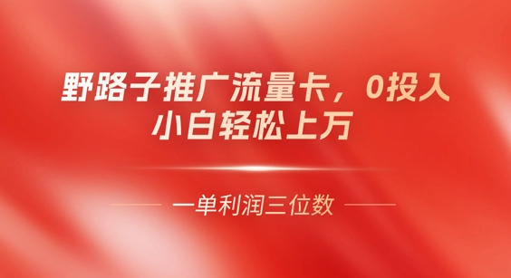 0门槛推广流量卡，一单收益上百，0投入，小白月入过W-启原资源站