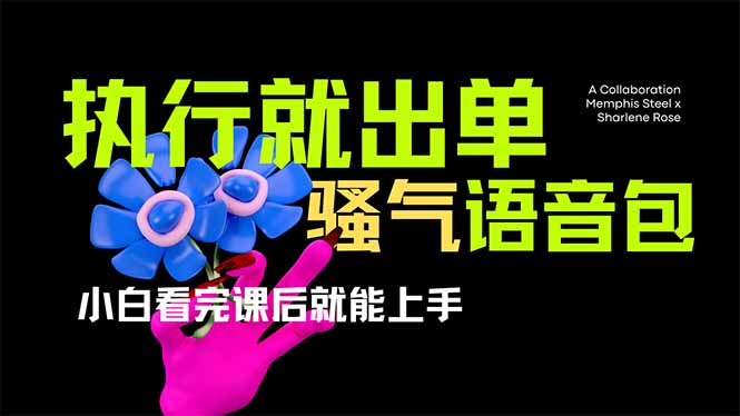（14170期）爆火全网的开车导航骚气语音包,只要执行就出单，小白看完课程就能实操...-启原资源站