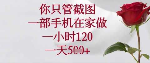 你只管截图，一部手机在家操作，一小时120.一天5张【揭秘】-启原资源站