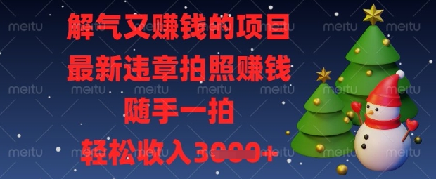解气又挣钱的项目，最新违章拍照挣钱，随手一拍，轻松收入数张【揭秘】-启原资源站